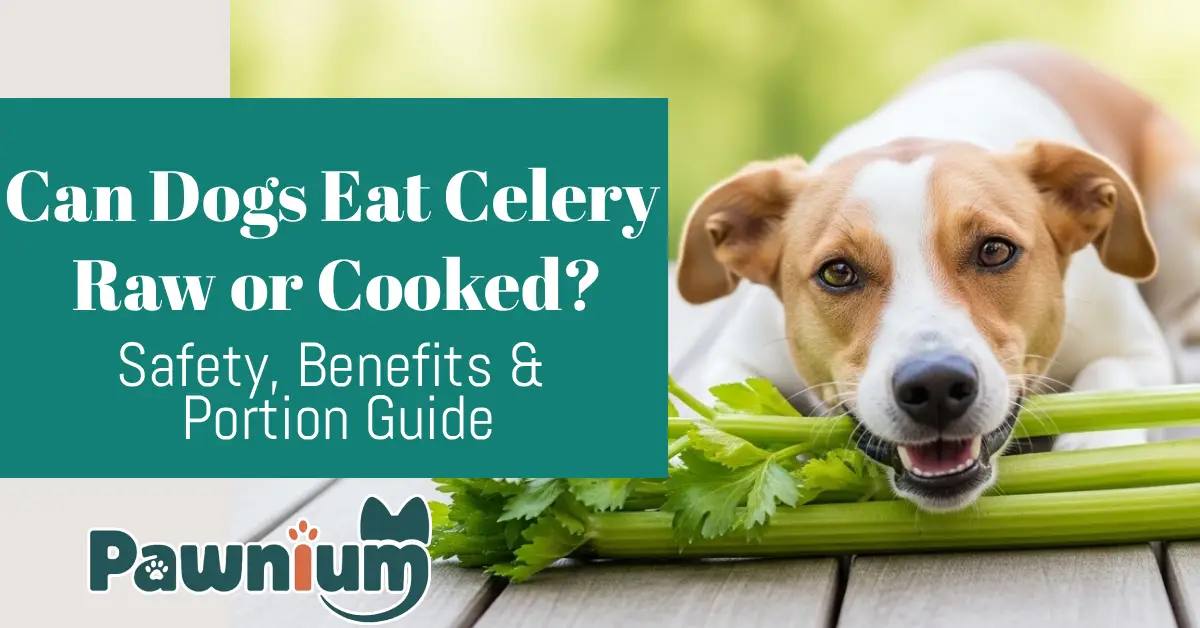Can Dogs Eat Celery Raw or Cooked?