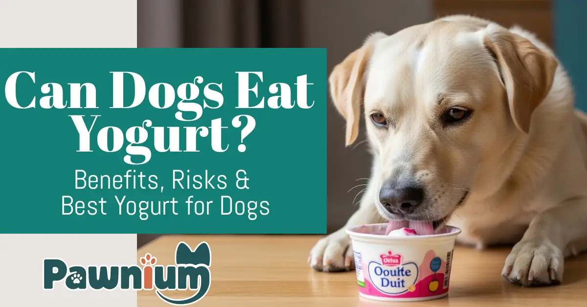 Can Dogs Eat Yogurt?